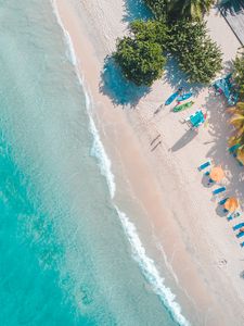 Preview wallpaper sea, beach, palm trees, umbrellas, summer, aerial view