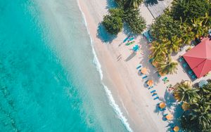 Preview wallpaper sea, beach, palm trees, umbrellas, summer, aerial view