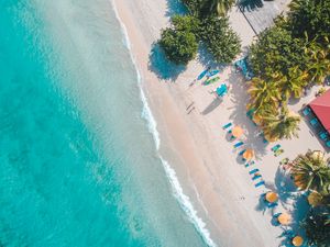 Preview wallpaper sea, beach, palm trees, umbrellas, summer, aerial view