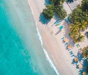 Preview wallpaper sea, beach, palm trees, umbrellas, summer, aerial view