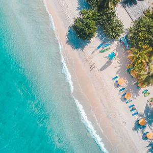 Preview wallpaper sea, beach, palm trees, umbrellas, summer, aerial view