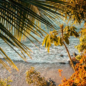 Preview wallpaper sea, beach, palm trees, tropics, summer