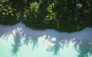 Preview wallpaper sea, beach, palm trees, tropics, aerial view