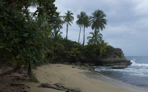 Preview wallpaper sea, beach, palm trees, landscape