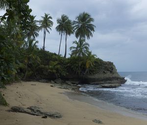 Preview wallpaper sea, beach, palm trees, landscape