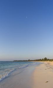 Preview wallpaper sea, beach, shore, palm trees, tropics