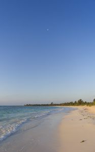 Preview wallpaper sea, beach, shore, palm trees, tropics