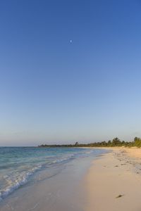 Preview wallpaper sea, beach, shore, palm trees, tropics