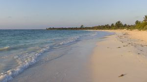 Preview wallpaper sea, beach, shore, palm trees, tropics