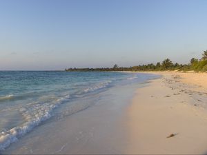 Preview wallpaper sea, beach, shore, palm trees, tropics