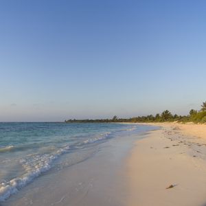 Preview wallpaper sea, beach, shore, palm trees, tropics