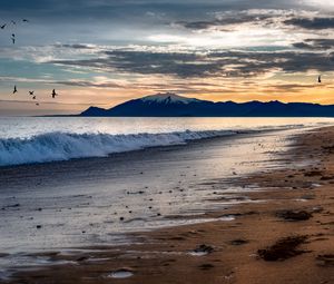 Preview wallpaper sea, beach, wave, dusk, landscape