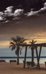 Preview wallpaper sea, benches, palms, rest, evening, clouds, starry sky