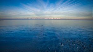 Preview wallpaper sea, bird, horizon, sky