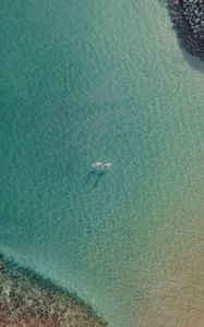 Preview wallpaper sea, boats, aerial view, water, transparent