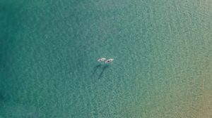 Preview wallpaper sea, boats, aerial view, water, transparent