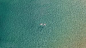 Preview wallpaper sea, boats, aerial view, water, transparent