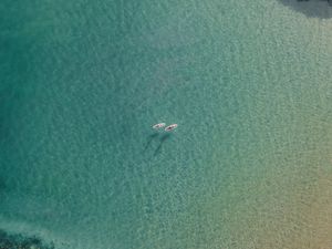 Preview wallpaper sea, boats, aerial view, water, transparent