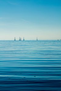 Preview wallpaper sea, boats, sails, horizon