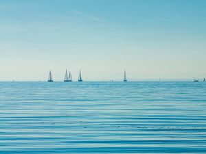 Preview wallpaper sea, boats, sails, horizon