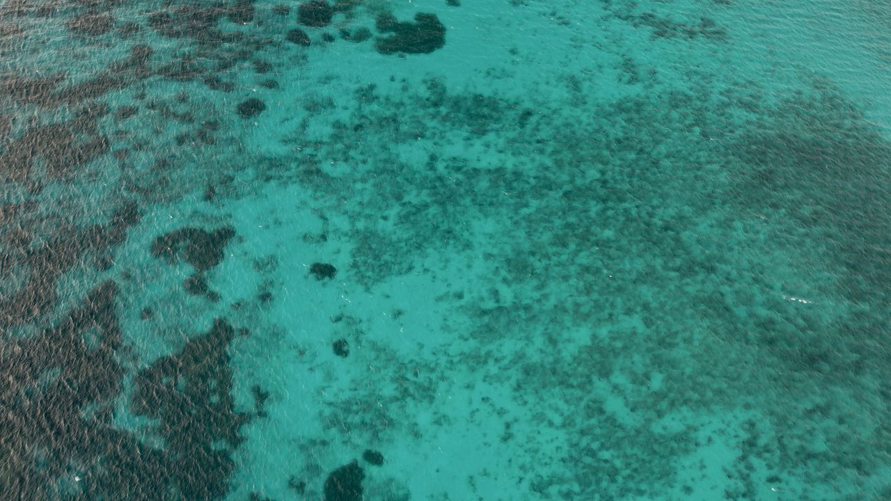 Wallpaper sea, bottom, ripples, nature