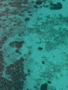 Preview wallpaper sea, bottom, ripples, nature