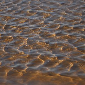 Preview wallpaper sea, bottom, transparent