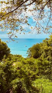 Preview wallpaper sea, branches, boat, leaves