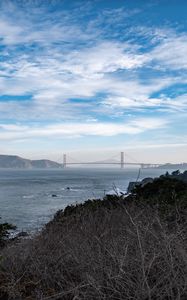 Preview wallpaper sea, bridge, mountains, trees, branches, view