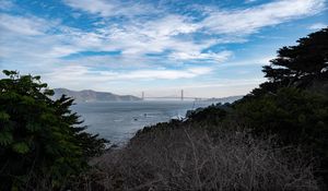 Preview wallpaper sea, bridge, mountains, trees, branches, view