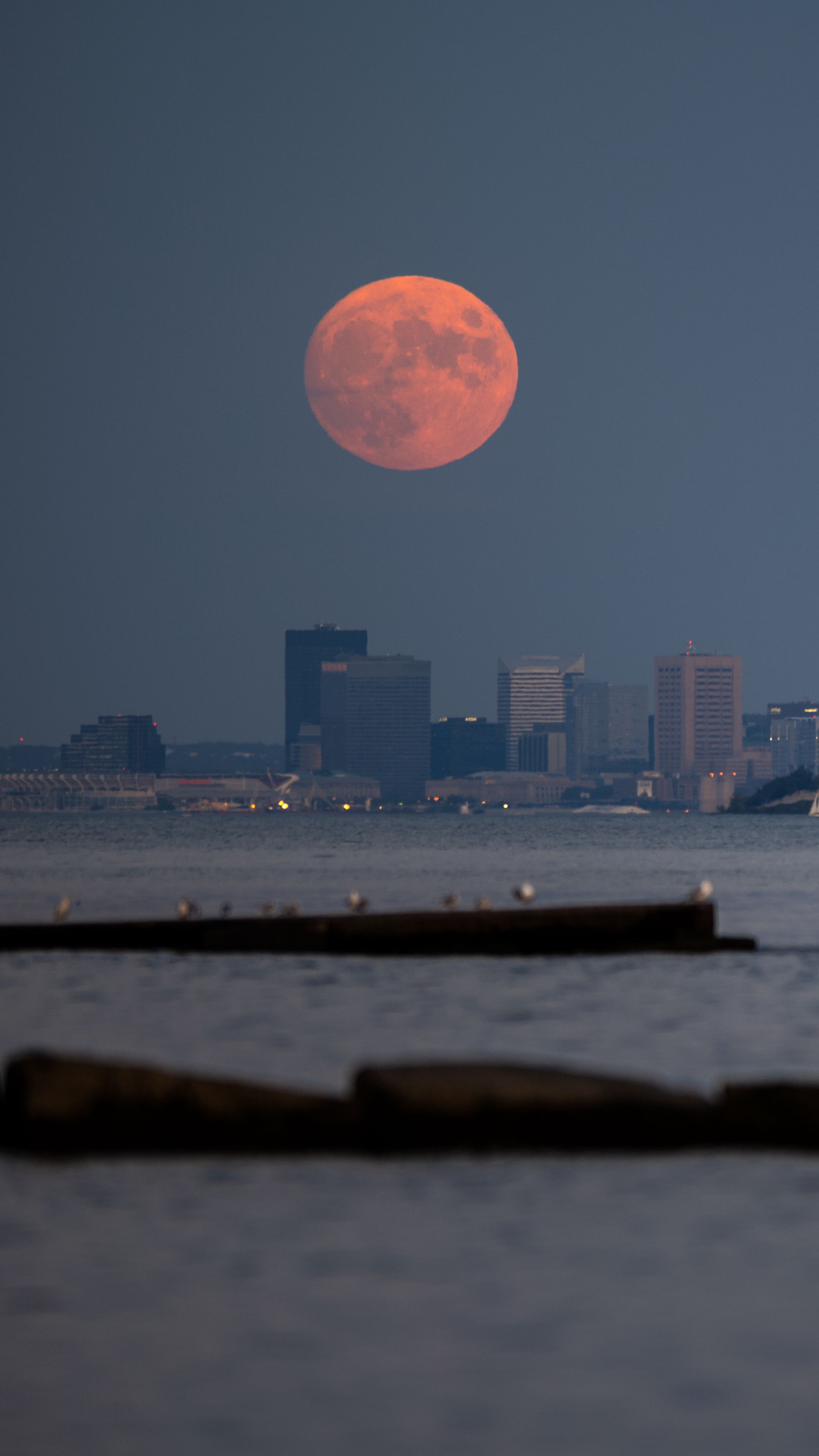 Download wallpaper 2160x3840 sea, city, moon, twilight samsung galaxy