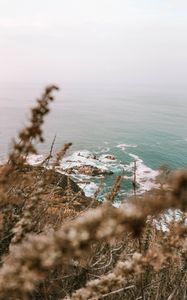 Preview wallpaper sea, cliff, coast, branches, rocks, waves