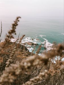 Preview wallpaper sea, cliff, coast, branches, rocks, waves