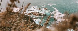 Preview wallpaper sea, cliff, coast, branches, rocks, waves