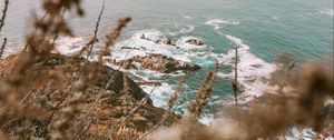 Preview wallpaper sea, cliff, coast, branches, rocks, waves