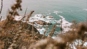 Preview wallpaper sea, cliff, coast, branches, rocks, waves