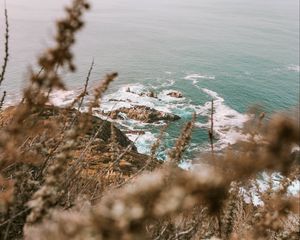 Preview wallpaper sea, cliff, coast, branches, rocks, waves