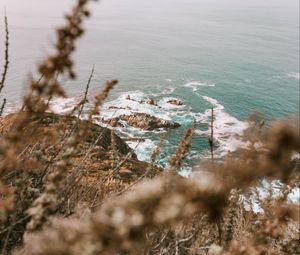 Preview wallpaper sea, cliff, coast, branches, rocks, waves