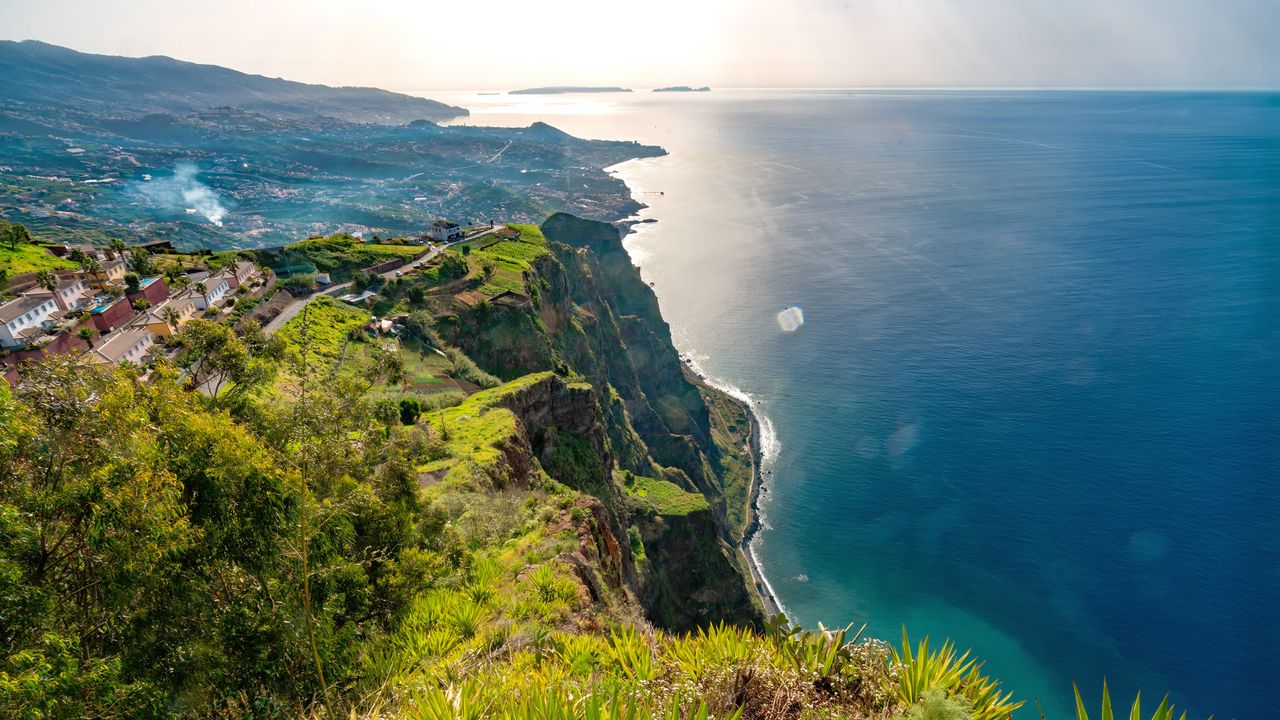 Wallpaper sea, cliff, shore, grass, nature