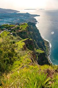 Preview wallpaper sea, cliff, shore, grass, nature