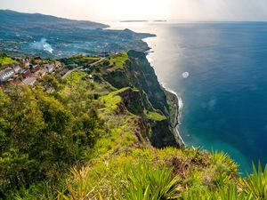 Preview wallpaper sea, cliff, shore, grass, nature