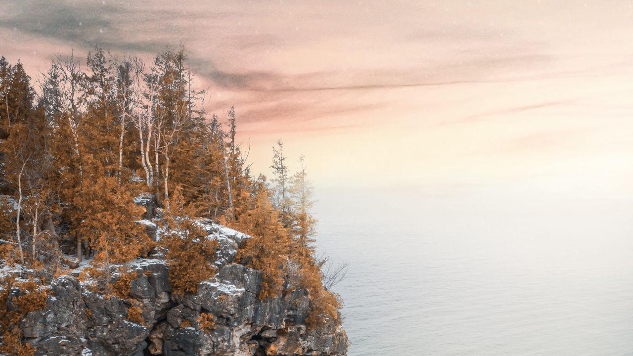 Wallpaper sea, cliff, trees, snow, landscape