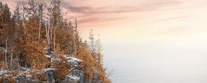 Preview wallpaper sea, cliff, trees, snow, landscape