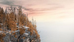 Preview wallpaper sea, cliff, trees, snow, landscape