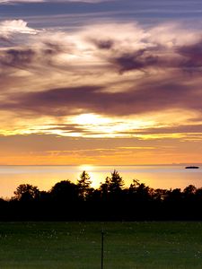 Preview wallpaper sea, clouds, trees, field, evening