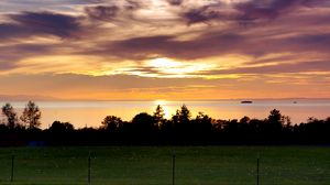 Preview wallpaper sea, clouds, trees, field, evening