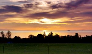 Preview wallpaper sea, clouds, trees, field, evening