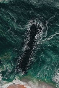 Preview wallpaper sea, coast, aerial view, water, breakwater