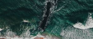 Preview wallpaper sea, coast, aerial view, water, breakwater