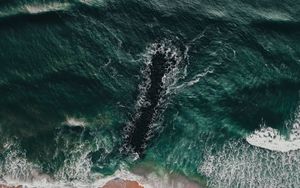 Preview wallpaper sea, coast, aerial view, water, breakwater